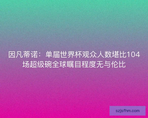 因凡蒂诺：单届世界杯观众人数堪比104场超级碗全球瞩目程度无与伦比