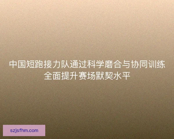 中国短跑接力队通过科学磨合与协同训练全面提升赛场默契水平